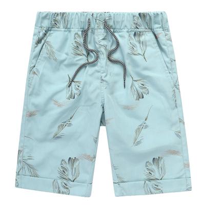 China Breathable Customize Hot Sale Apparel Summer Shorts Mens Printed Swim Trunks Designs For Mens Board Shorts Caribbean Hawaii Bermuda Shorts for sale