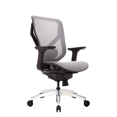 China Grey Mesh Multi-Function Home Office Computer preside cadeiras do apoio lombar à venda