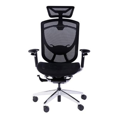 China Protetor Certificate Adjustable Armrest Wintex Mesh Ergonomic Office Chair do verde de BIFMA à venda
