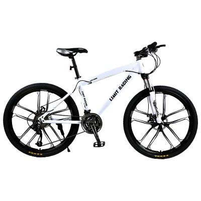 China Cheap and high quality popular sports wholesales mountain bike bicycle frame mountain bike for sale