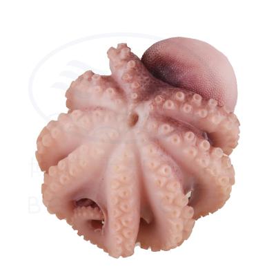 China Ready to Eat Hot Selling High Quality Frozen Boiled Crispy Whole Cooked Octopus IQF For Sale for sale