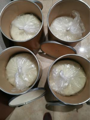 Cina composto acido della polvere di gabapentin dell'amide 1,1-Cyclohexanediacetic del casnummer 99189-60-3 mono in vendita