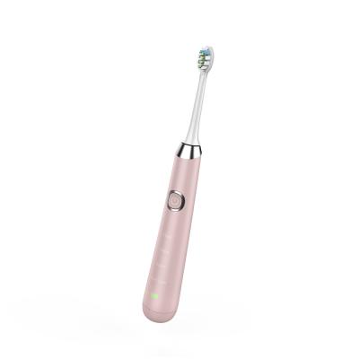 Chine 3W Sonic Electric Toothbrush With Timer automatique pour les adultes 800mAh à vendre