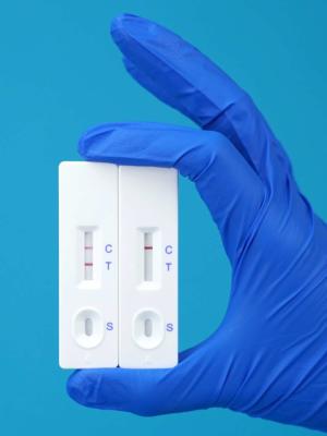 China Amantadines Strip Test Kit For Testing Meat, Eggs for sale