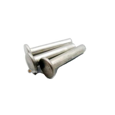 China Automotive Wholesales Stainless Steel Round M5x25 Flat Head Rivet Pin Structure Connector for sale