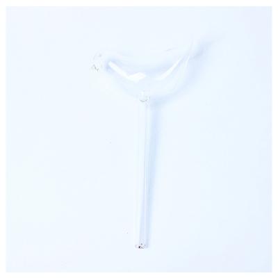 China Watering For Plant Glass Bulb Garden Hot Selling High Quality High Quality Automatic Watering Device For Plants for sale