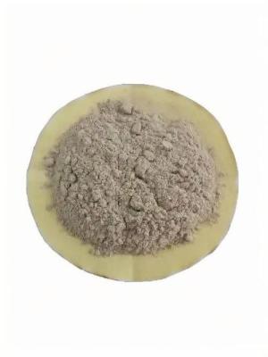 中国 廃水 処理 用 の 先進 的 な 微生物 細菌 販売のため