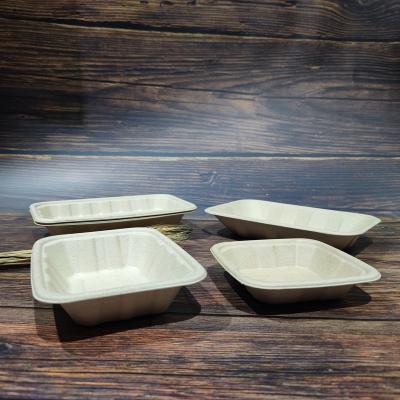 China Food Ban Biodegradable Plastic Food Packaging Fruit Boxes Supermarket Fruit Box Container For Dried Fruit for sale