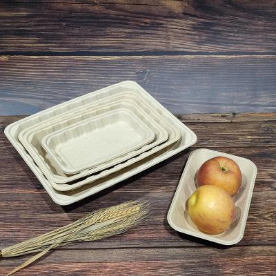 China Custom Wholesale Food Supermarket Disposable Fresh Food Packing Thickened Food Packet Meat Chicken Fruit Biodegradable Tray for sale