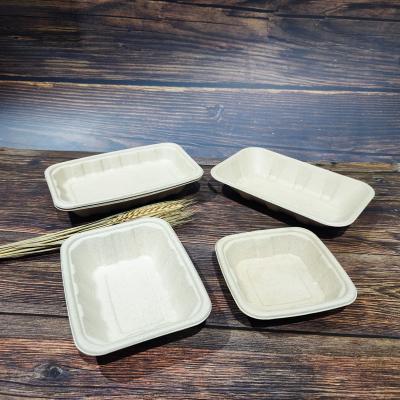 China Disposable Biodegradable Food Tray Meat Poultry Supermarket Standard Frozen Food Trays Fruit Trays Party Dish for sale