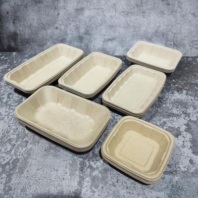China Disposable Food Cane Wheat Straw Bamboo Pulp Tray Sugar Cane Bagasse For Chocolate Candy Cookie Packaging for sale