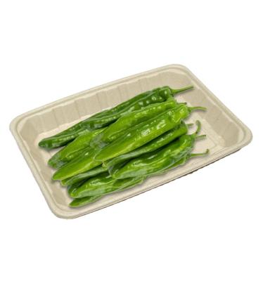 China Hot Sale Food Grade Leakproof Bagasse Disposable Fruit Food Tray for sale