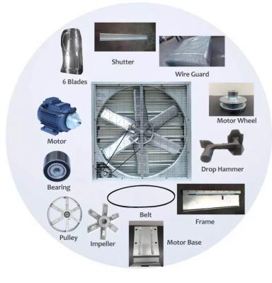China AC Motor Exhaust Ventilation Squirrel Cage The High Speed Ventilation Cooling Air Circulating Fan Wall Mount Industrial Exhaust Fan for sale