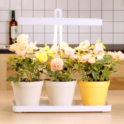 China Automatically work mini LED garden timer indoors ideal for plant to grow indoor herb garden kit plants with lights led indoor garden for sale