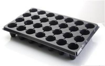 중국 0.8MM Thickness Vegetable Seedling Trays , 15-200 Cavities Nursery Propagation Trays 판매용