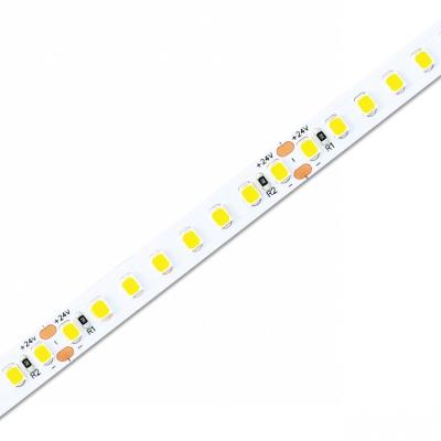 China Warehouse/Garden/Theme Park Flexible Led Strip 10mm Smd 2835 160 Leds/m 24v Led Strip Light for sale