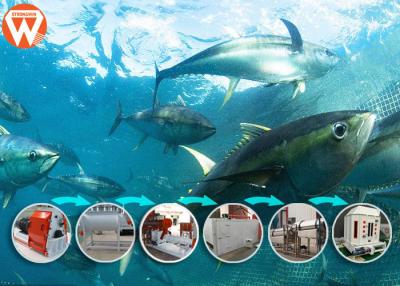 Chine Le type humide poisson de flottement alimentent l'usine avec le broyeur de la chaudière à vapeur 2000-2500kg/H à vendre