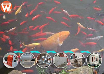 Chine Usine de flottement de descente d'alimentation de poissons de t/h du rendement 3-4 avec la machine rotatoire de jet à vendre