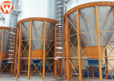 Chine Silo de trémie d'alimentation de matériel annexe de ferme de poulet pour la ligne d'alimentation de Chambre de volaille à vendre