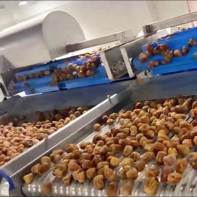 Cina Macchina di classificazione delle date ad alta capacità alimentata da IA 360° Scansione rotante 8 corsie + 8 prese di corrente 2.4-2.6T/H in vendita