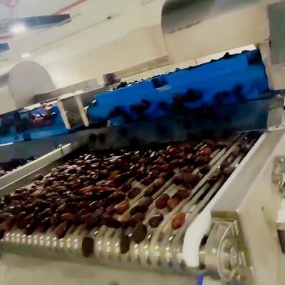 Cina Alta efficienza Industrial Data Processing Data Sorting Machine con AI 6/8 Lanes 8 Outlet Modelli in vendita