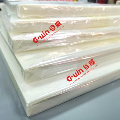 China Hot Apparel Skin A3 Pet Film For DTF Heat Transfer Printing Use The 1390 /L1800 Printing Machine for sale