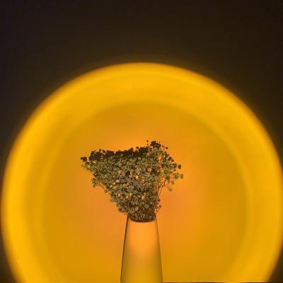China Lighting works sunset lamp shooting lights can rotate 360 to adjust the spotlight the angle of the street lamp and freely change the projected color for sale