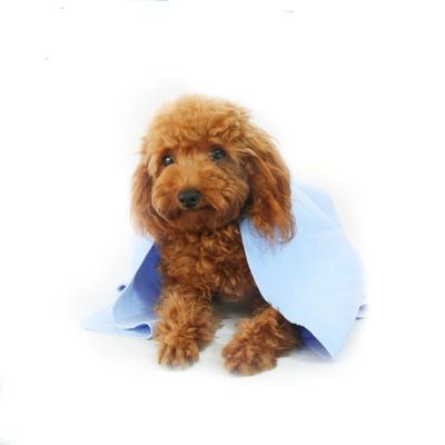 China Viable Needle Punched Nonwoven Fabric Logo Printed Super Absorbent Microfiber Dog Pet Bath Drying Cooling Cloth for sale