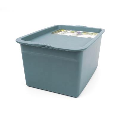 China Household Kitchen Car Plastic Outdoor Storage Box Clothes Makeup Underwear Hair Accessories Other Storage With Lid Desk Organizer for sale