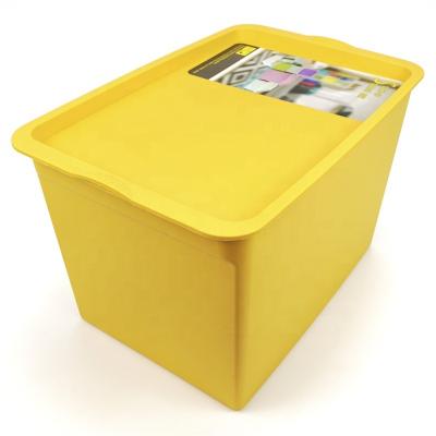 China Decorative Plastic Outdoor Storage Box Household Underwear Shoe Storage Cosmetic Clothes With Lid Desk Organizer for sale