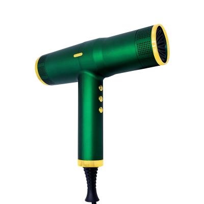 China High Quality Popular High Speed Brush Ionic Hair Salon Hair Dryer Styler for sale
