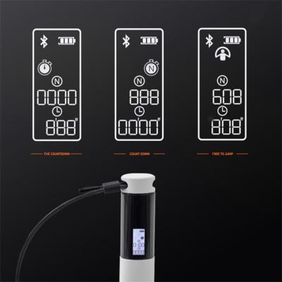 China Speed Weighted Burning Jump Rope Adjustable Calorie Count ABS Digital Jump Rope Gym Workout Smart Count Fat Burning Jump Rope for sale
