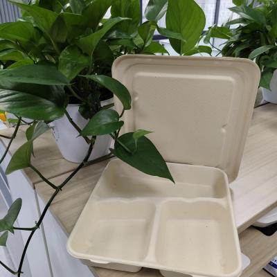China Directly supplied by Chinese manufacturers. Disposable environmentally friendly pulp-molded lunch boxes are made of sterile food-grade plant fibers and are biodegradable. for sale