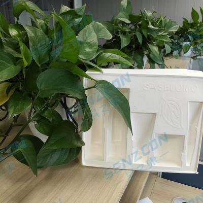 Chine Fourniture directe de l'usine. base de l'ensemble de produits cosmétiques et de soins de la peau haut de gamme. écologique et biodégradable. à vendre