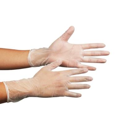 China Powder Free Disposable Vinyl / PVC Gloves in Bulk for sale