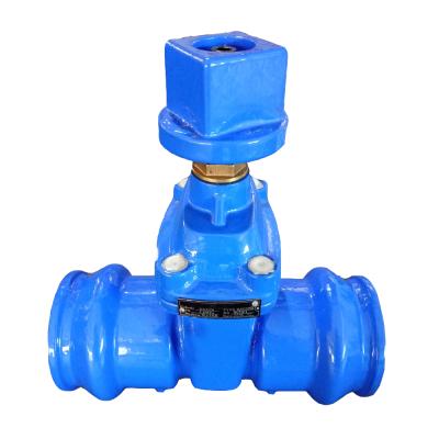 China Double 75mm intake general gate valve for sale