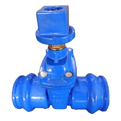 China Double General Intake Gate Valve 90mm With Stem Cap for sale