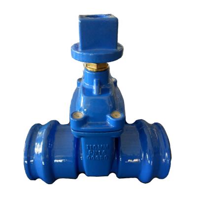 China Double 110mm intake general gate valve for sale