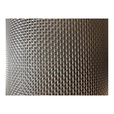 China Modern Black PVC Coated Polyester Mesh/Pet Mosquito Net Pet Black Mosquito Protection Window Screen Mesh for sale