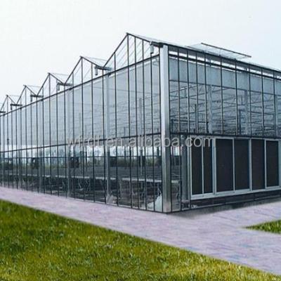 China Vegetable Fruits Flowers 8mm hollow twin wall 6x8ft walk-in polycarbonate sheet aeroponic greenhouse for sale