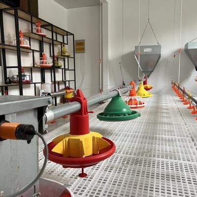 China Farms Chicken System Agrieso Customization Chicken Feeder Poultry Farm Automatic Broiler Feeding Line Feeding for sale