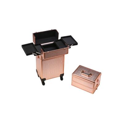 China Professional Large Cosmetic Case Makeup Roller Case Large Capacity Trolley Aluminum Travel Makeup Box for sale