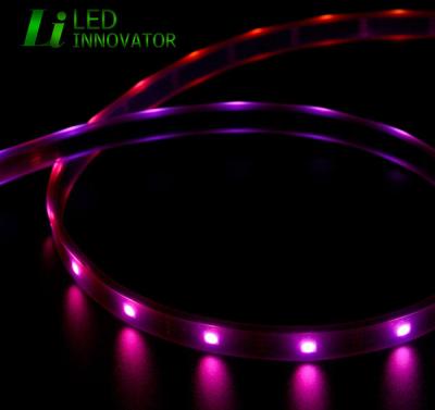 China Art-Net DMX Accessible Pixel Art Theme Park Digital LED RGB Flexible Strip Light with 32LED per Meter for Decoration for sale