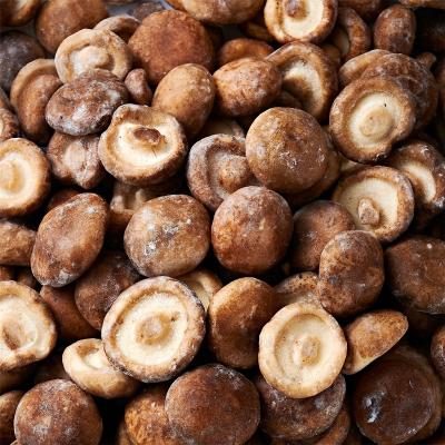 China Healthy Food factory direct export of frozen shiitake mushroom wholesale frozen shiitake mushroom for sale