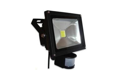 China CRI decorativo comercial 80 10W de la prenda impermeable del reflector de PIR LED en venta