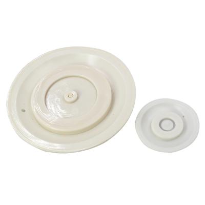 China Autel M/D50 304 parafusos de aço inoxidável válvula de pulso branco diafragma à venda
