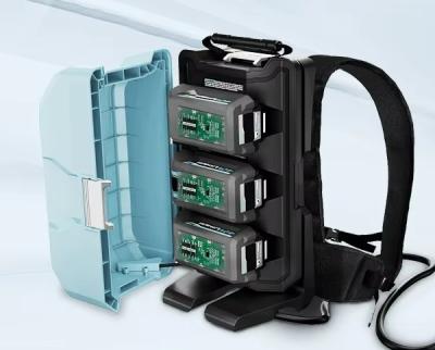 Cina Sistema di gestione delle batterie personalizzato 5S/7S/10S/15S (BMS) per zaino con batterie al litio/lifepo4 in vendita