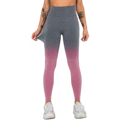 China New Breathable Border Seamless Gradient Speed Yoga Dry Pants, Breathable Peach Butt Sports Gaiters, Running Fitness Pants Women for sale