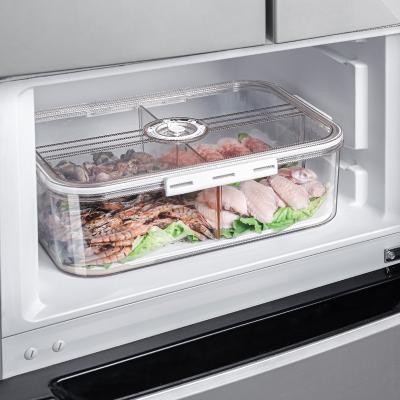 China New Pet Freshness Preservation Food Storage Box Refrigerator Airtight Storage Box Kitchen Transparent Plastic Fruits And Vegetables for sale