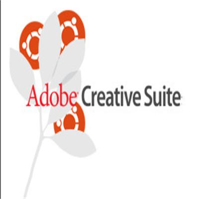 China Código em linha Windows superior Creative Suite 6 da ativação de da ativação à venda